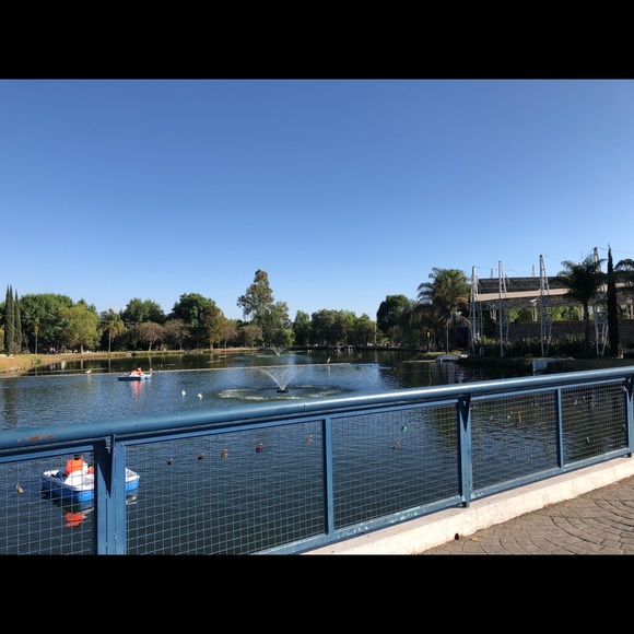 Not For Sale - Picture 4 of 5